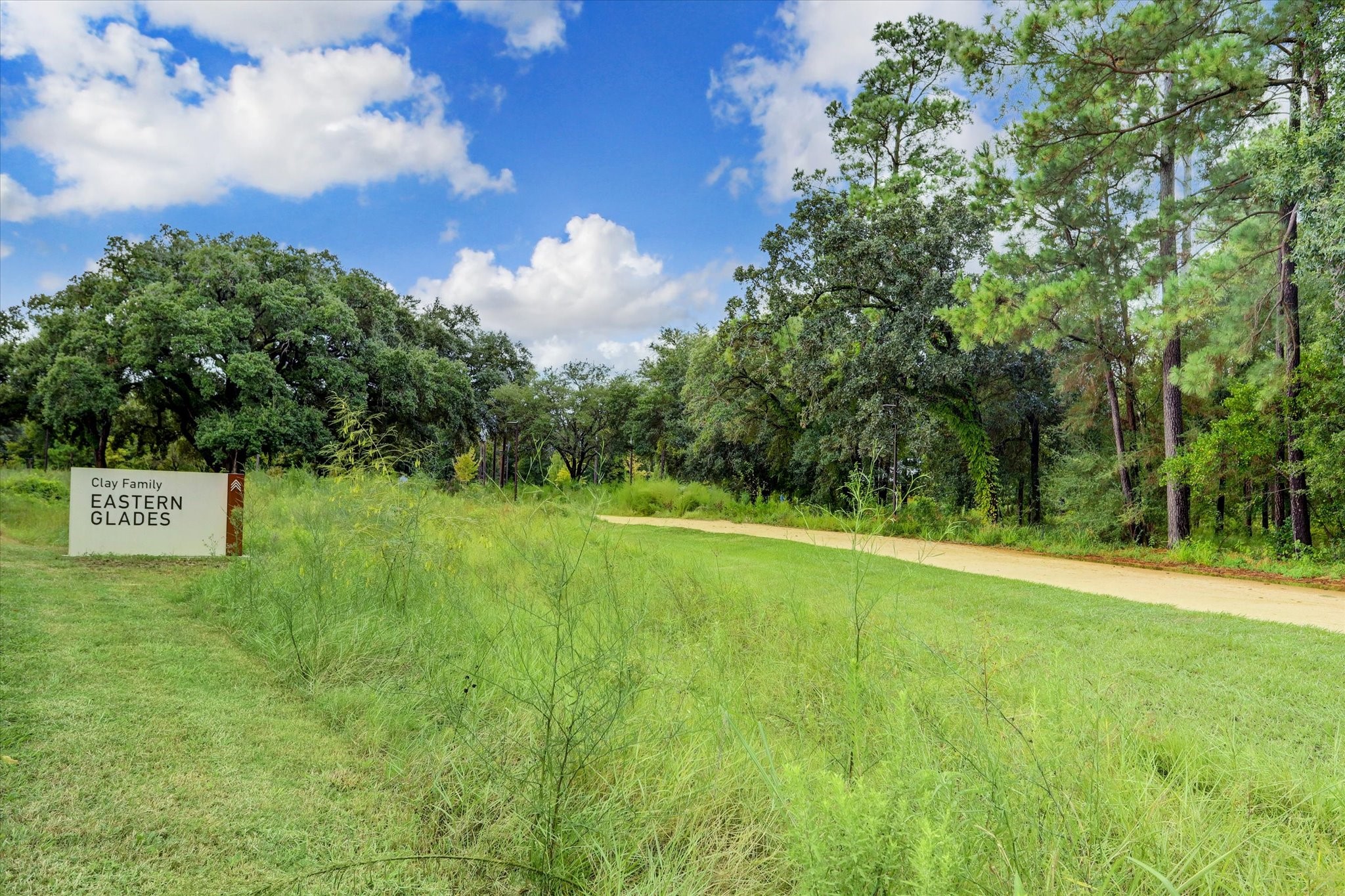 6311 Hamman Street, Unit A Houston, TX 77007 - Photo 25 of 30 a view of a park with large trees