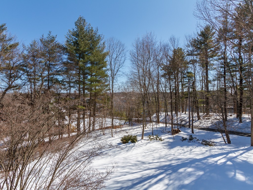 14 Skunk Road Merrimac, MA 01860 - Photo 21 of 25 a view of a park with trees and a house