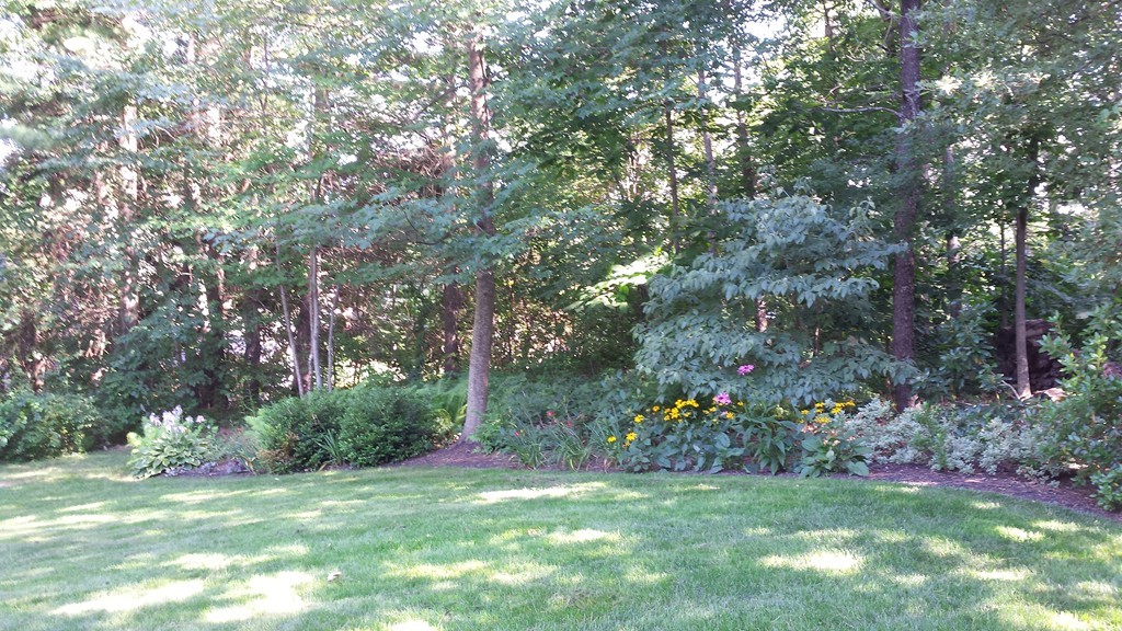 14 Skunk Road Merrimac, MA 01860 - Photo 25 of 25 a big yard with lots of green space and plants