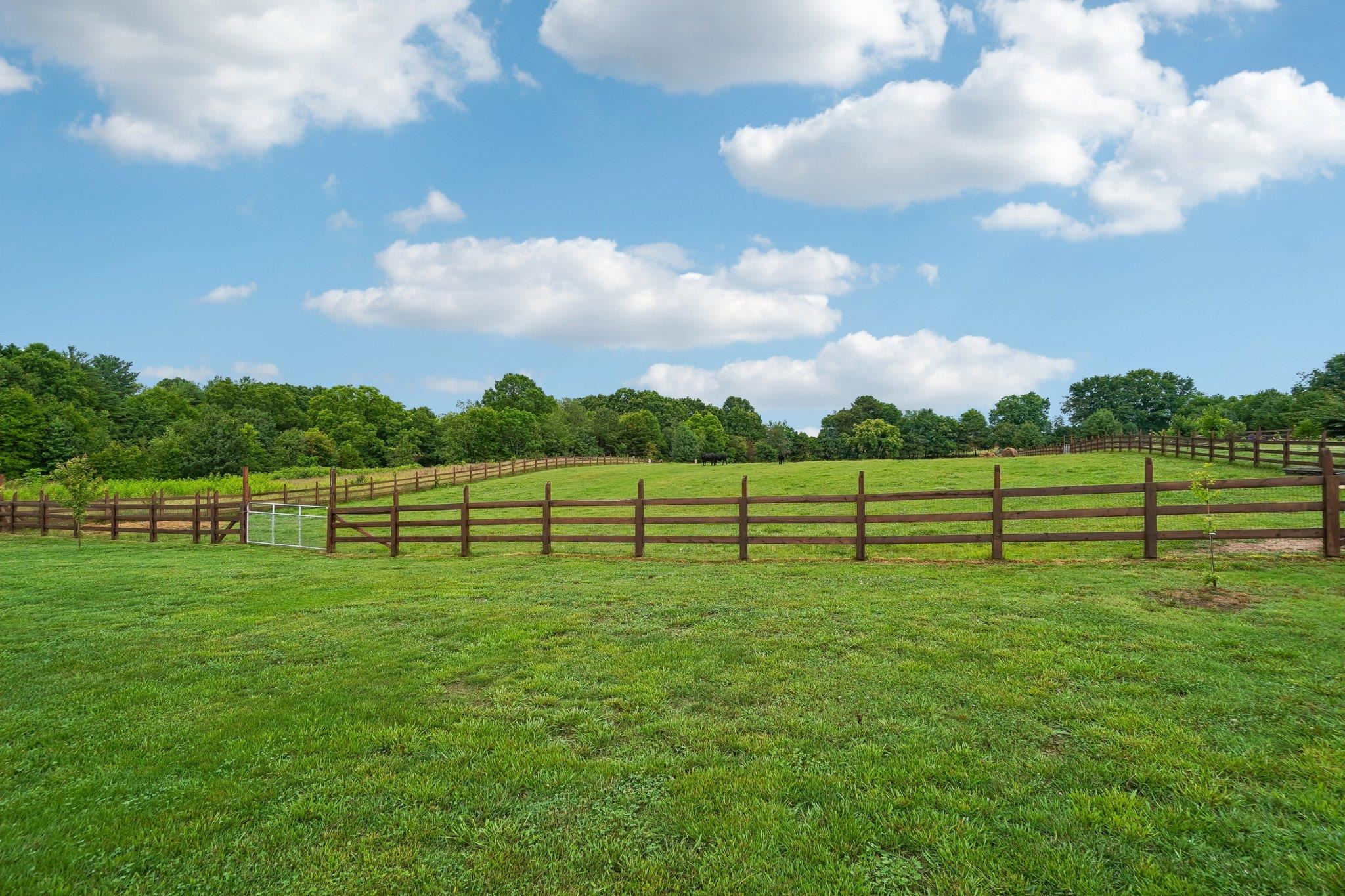 247 Reynolds Road Inman, SC 29349 - Photo 47 of 48