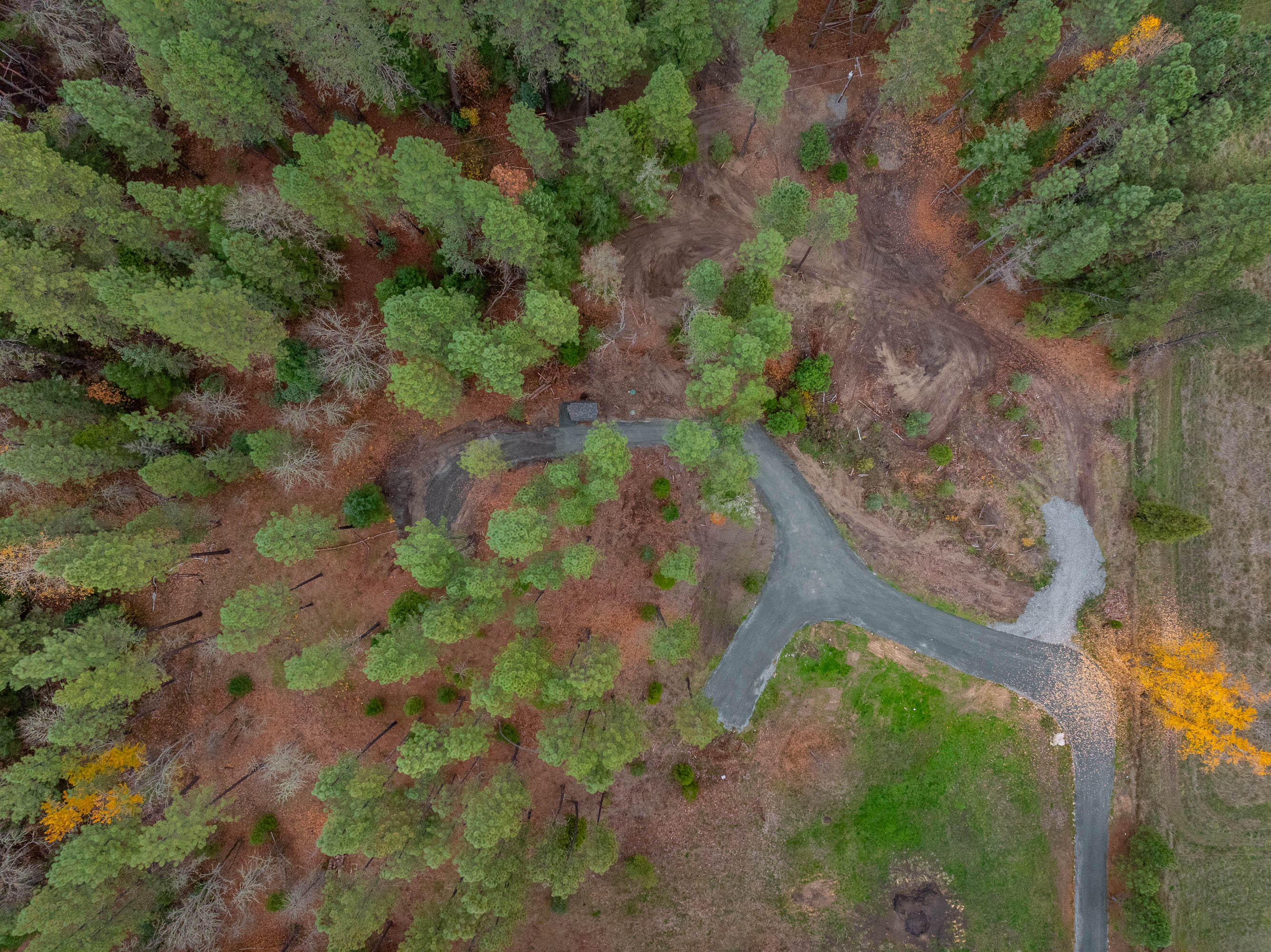 1740 Pleasant Creek Road Rogue River, OR 97537 - Photo 4 of 20 DRONE (5 of 7)