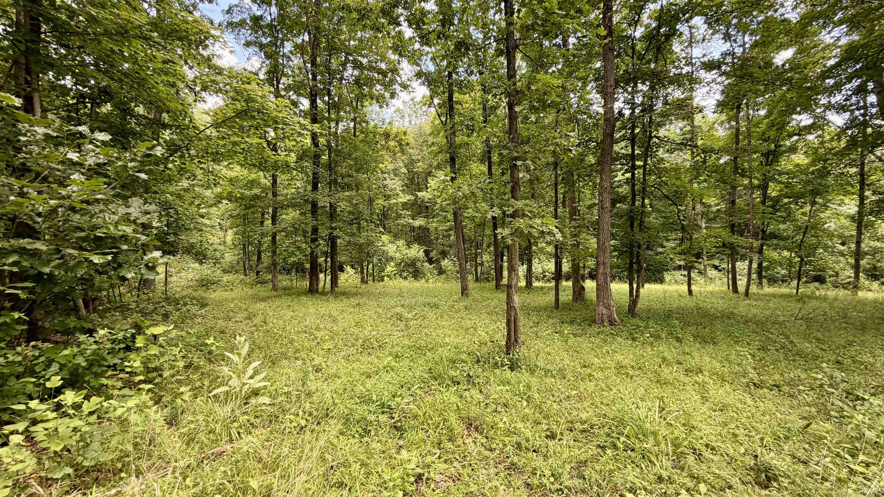 64 State Road English, IN 47118 - Photo 14 of 27