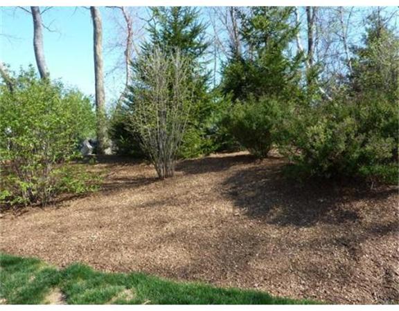 56 Summit Road, Unit 56 Belmont, MA 02478 - Photo 22 of 28 Gallery Image 22