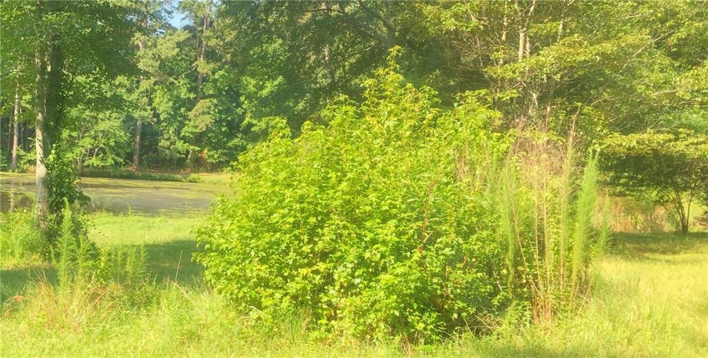 1405 Rock Springs Road Buford, GA 30519 - Photo 21 of 45