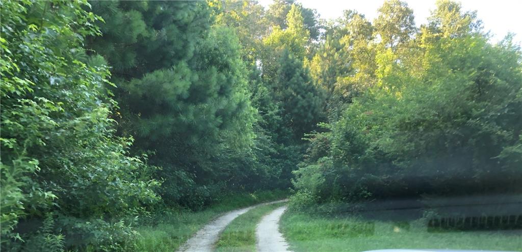 1405 Rock Springs Road Buford, GA 30519 - Photo 23 of 45 a view of a yard