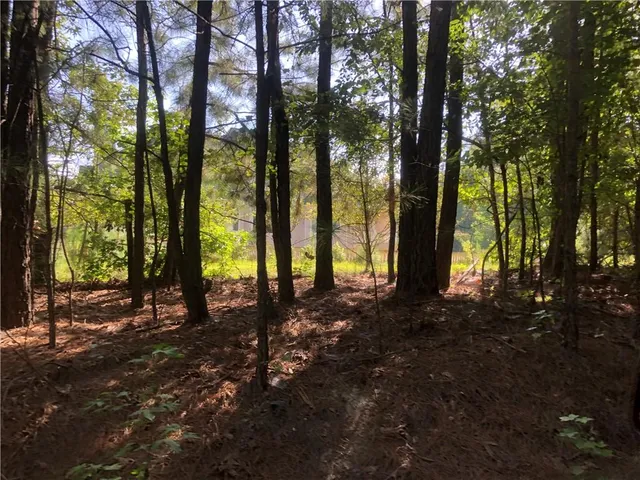 a swimming pool with barbeque oven