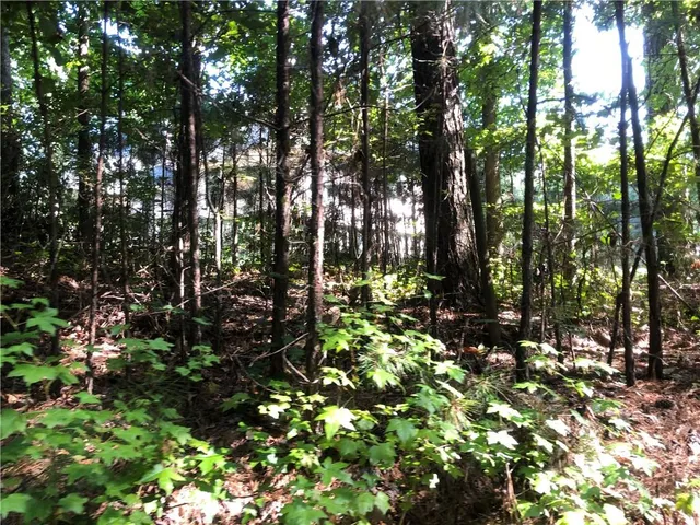 a view of a swimming pool with a patio and a yard