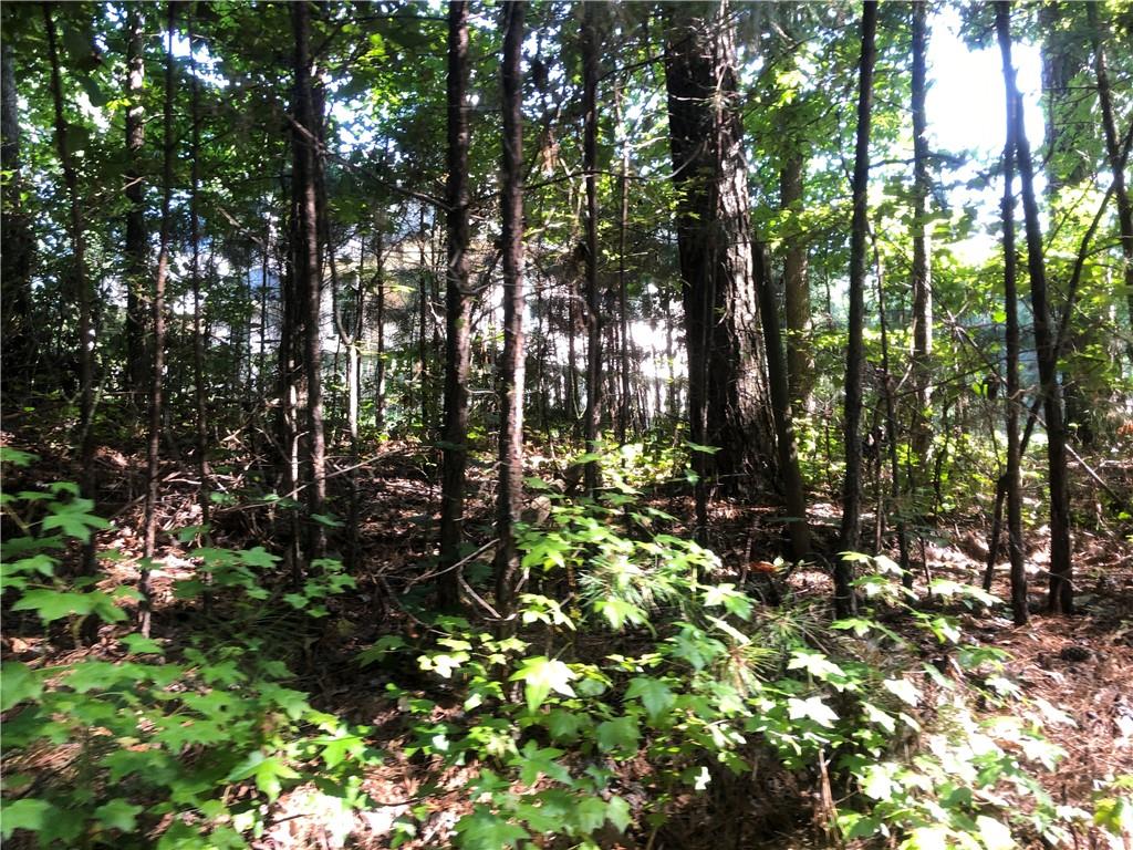 1405 Rock Springs Road Buford, GA 30519 - Photo 25 of 45