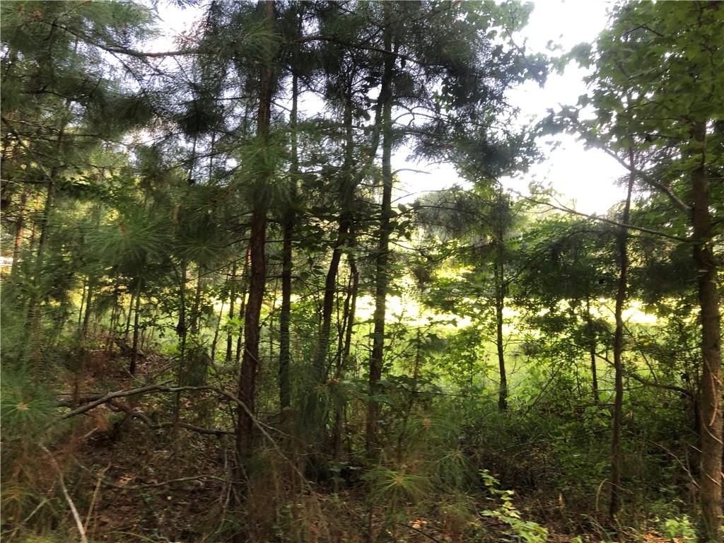 1405 Rock Springs Road Buford, GA 30519 - Photo 29 of 48