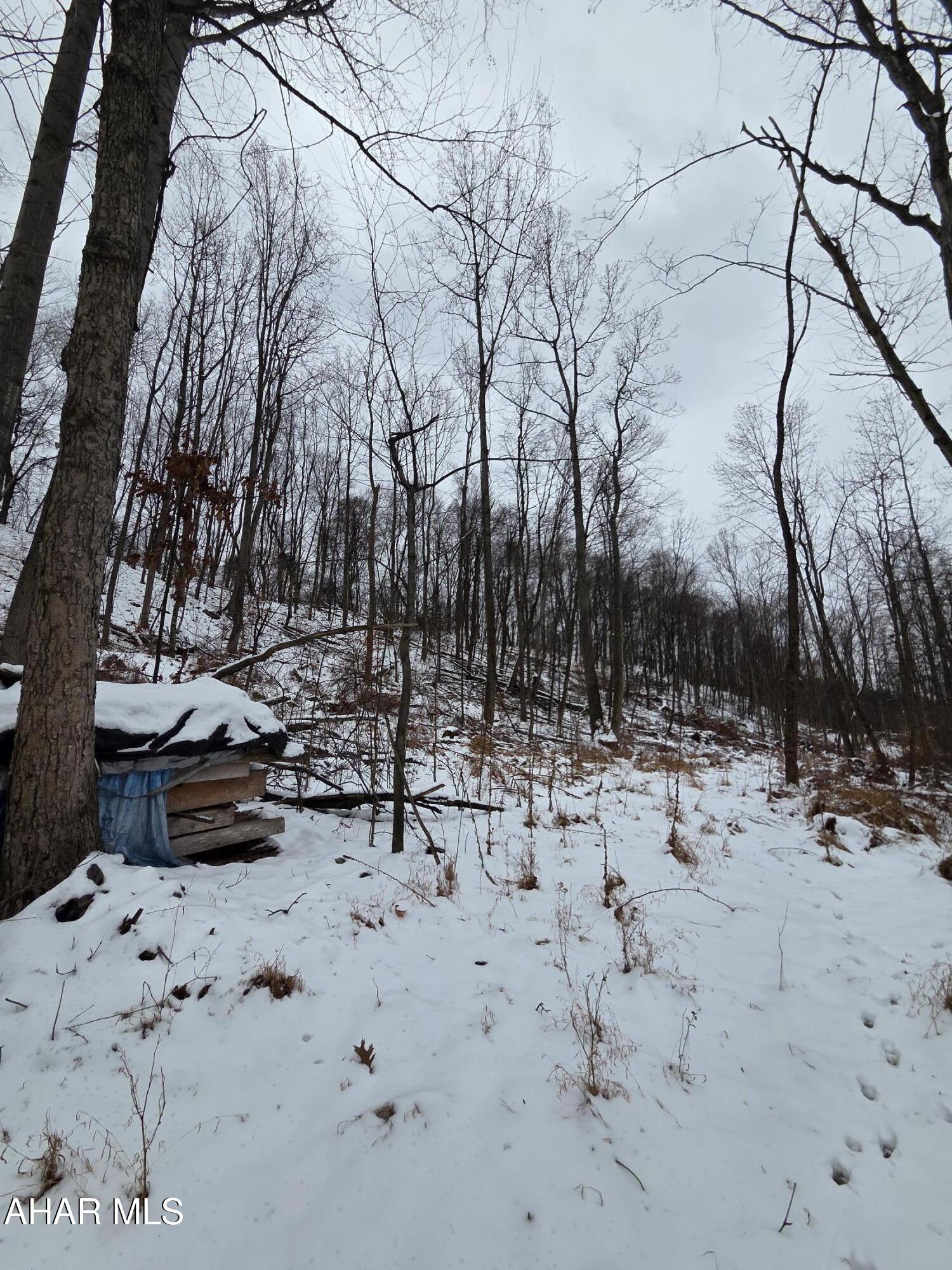 0 Sugar Ridge Road McVeytown, PA 17051 - Photo 4 of 12