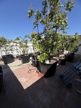 $1,089,000 | 198 South Cragmont Avenue, San Jose, CA 95127
