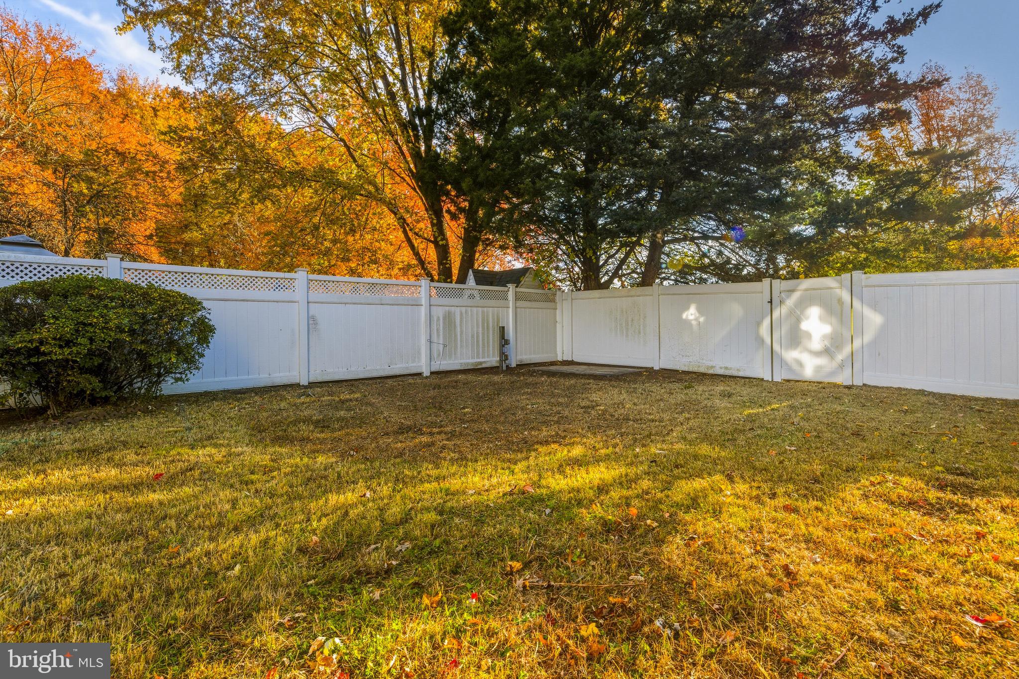 18 Madison Street Swedesboro, NJ 08085 - Photo 23 of 26 Back Yard