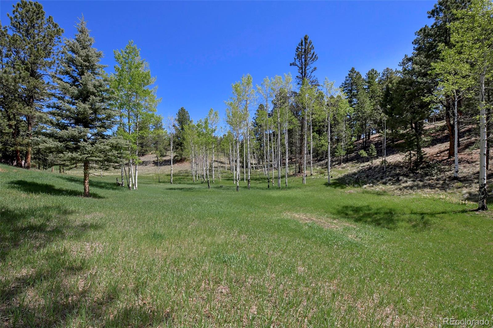63 Star View Trail Divide, CO 80814 - Photo 4 of 46