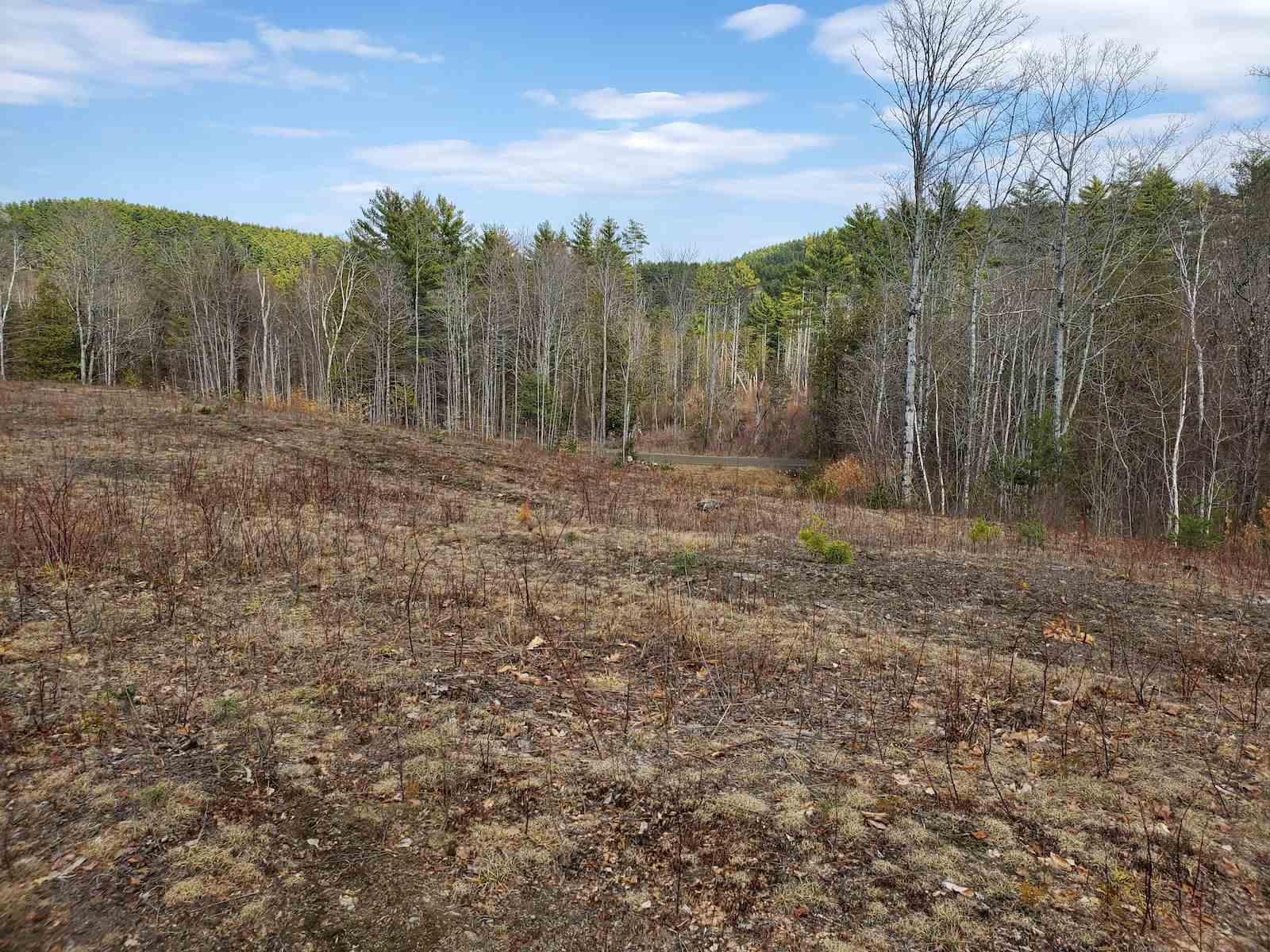0 Warden Road Barnet, VT 05821 - Photo 12 of 16 Gallery Image 12