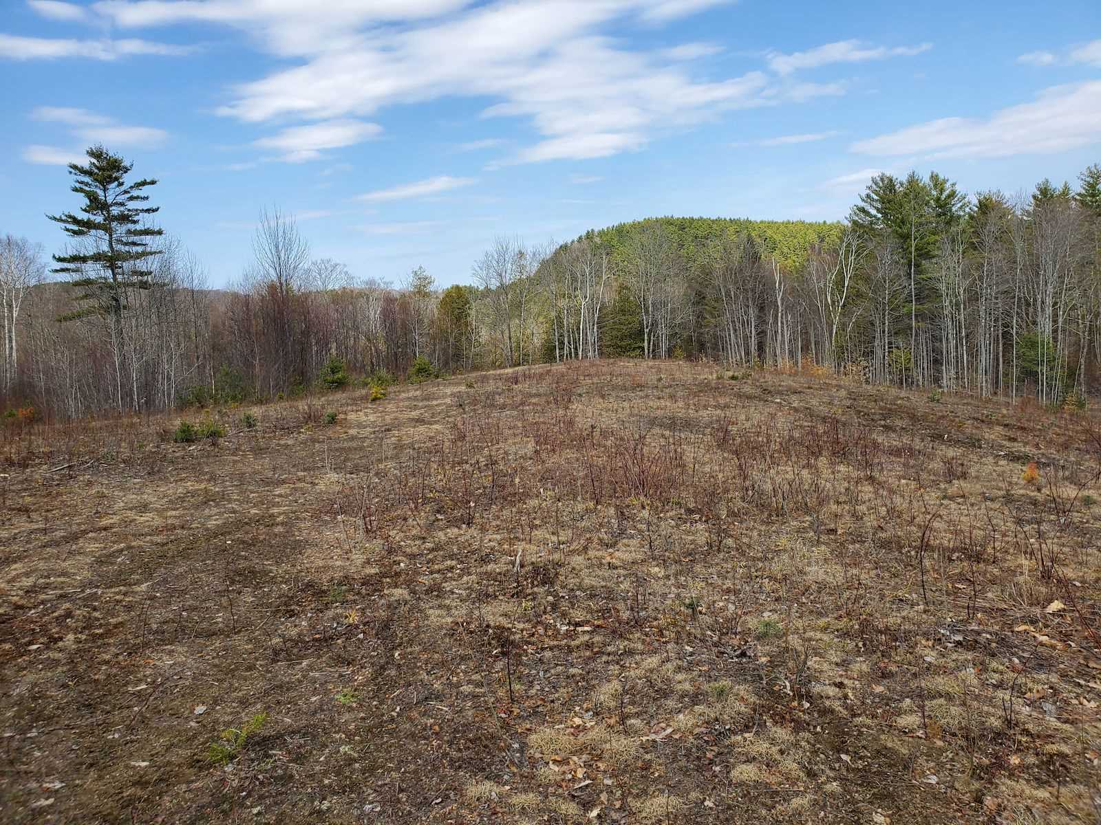 0 Warden Road Barnet, VT 05821 - Photo 13 of 16 Gallery Image 13