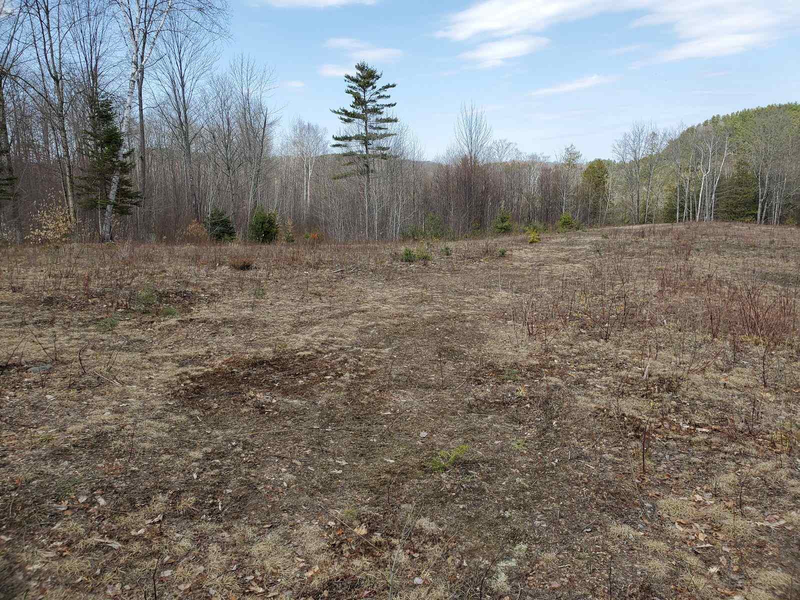 0 Warden Road Barnet, VT 05821 - Photo 14 of 16 Gallery Image 14