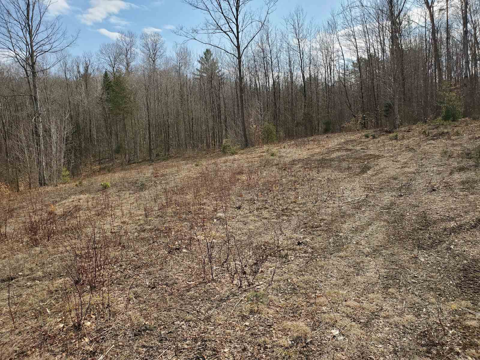 0 Warden Road Barnet, VT 05821 - Photo 15 of 16 Gallery Image 15