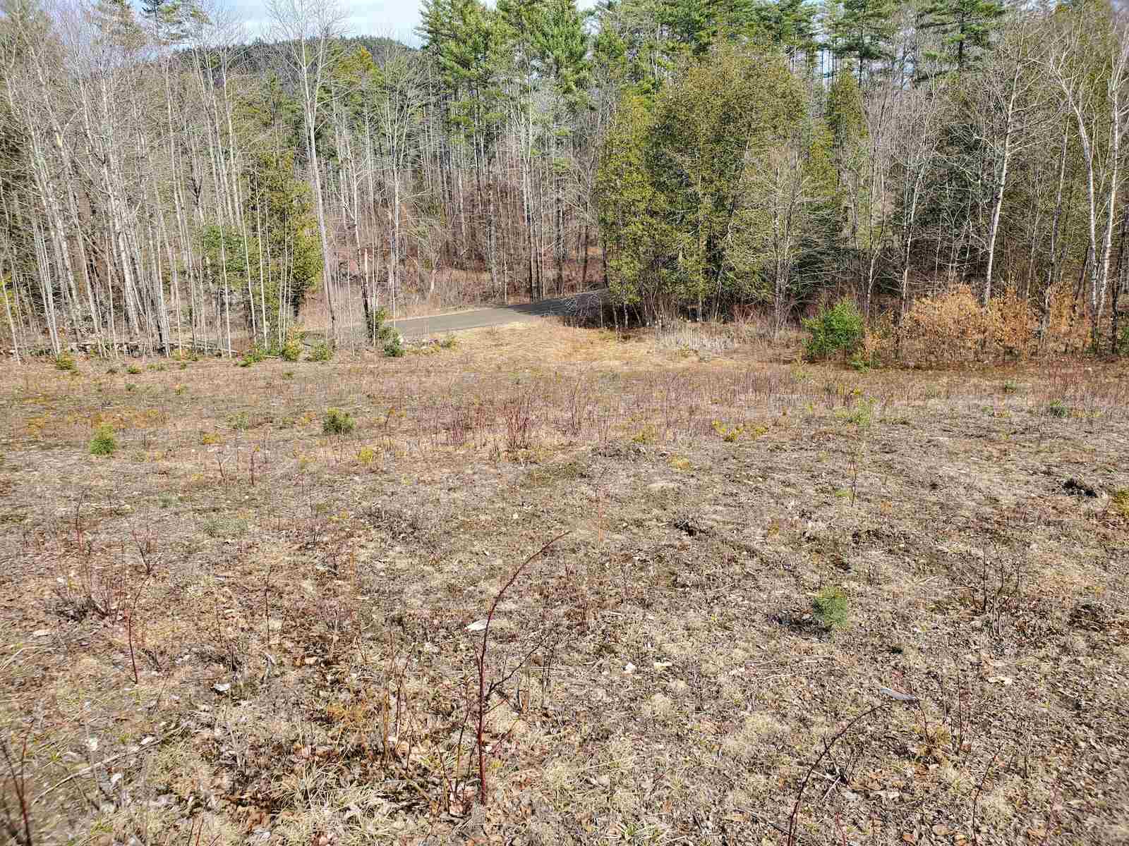 0 Warden Road Barnet, VT 05821 - Photo 4 of 16 Gallery Image 4