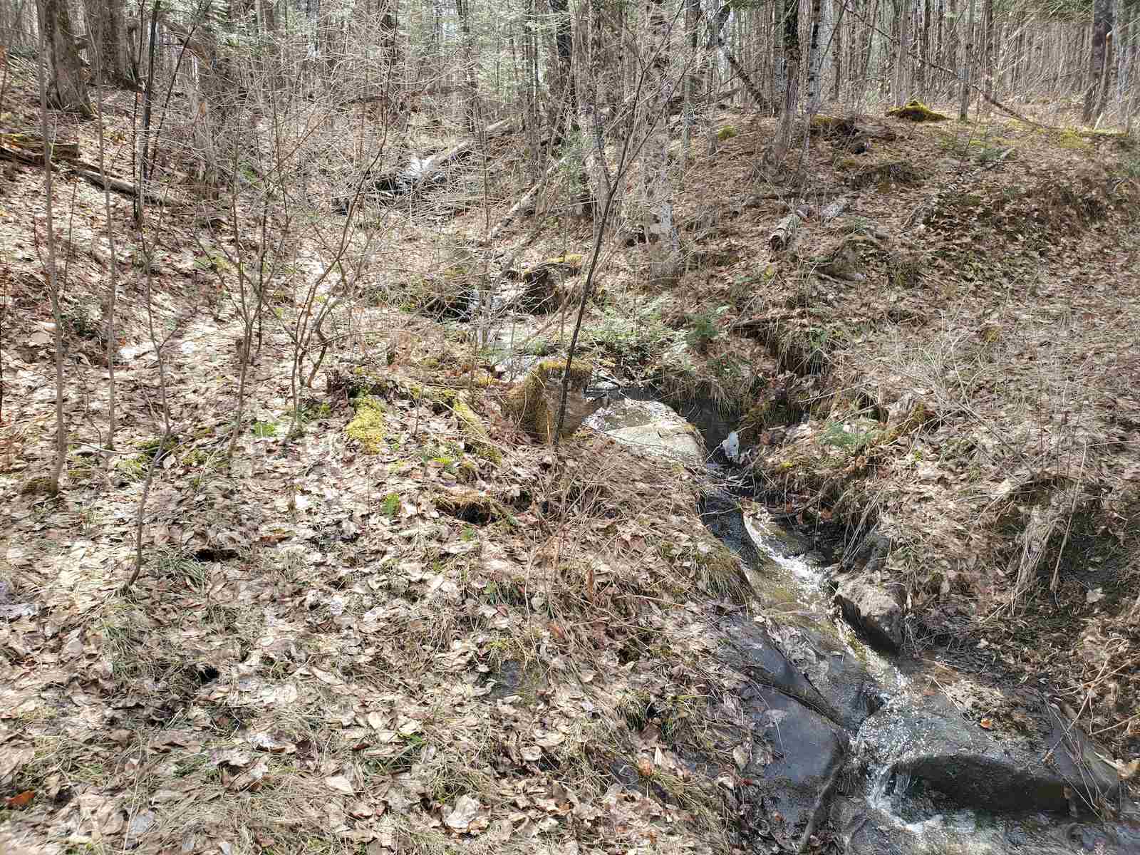 0 Warden Road Barnet, VT 05821 - Photo 7 of 16 Gallery Image 7