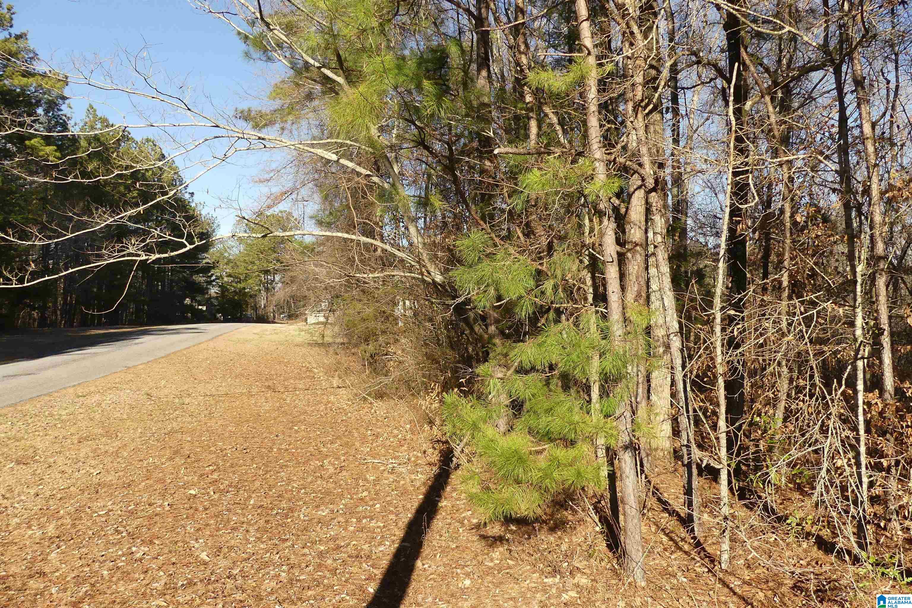 Lot # Memory Lane, Unit 4 Wedowee, AL 36278 - Photo 5 of 9