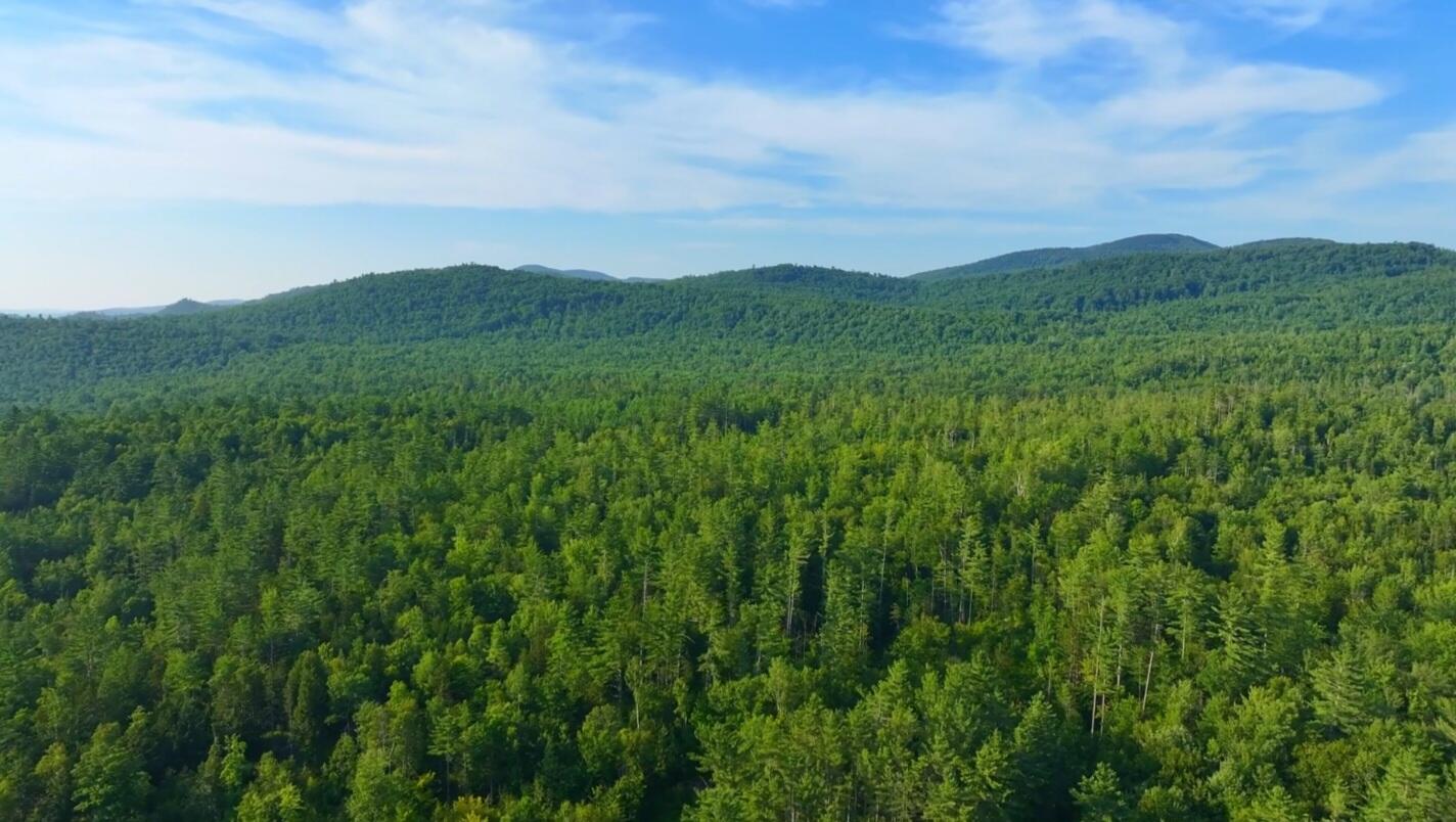 921 Roxbury Road Mexico, ME 04257 - Photo 38 of 54 Views