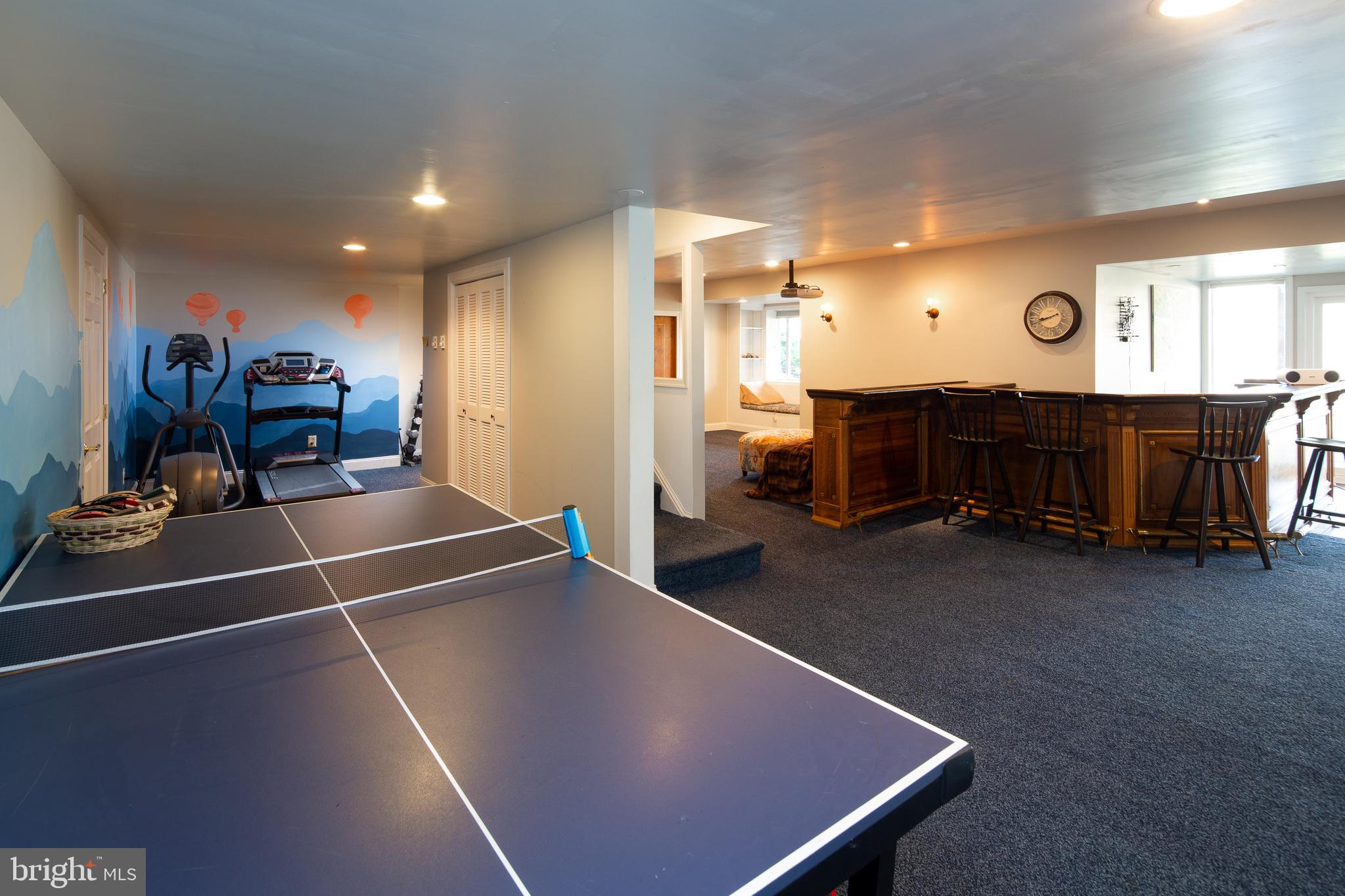 1584 River Road New Hope, PA 18938 - Photo 36 of 60 Finished Walk-Out Basement