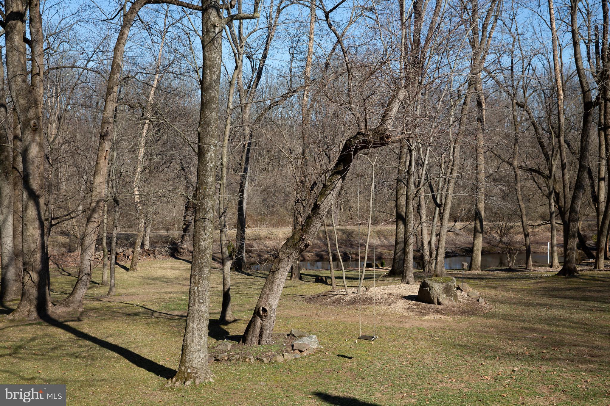 1584 River Road New Hope, PA 18938 - Photo 41 of 60 Back Yard