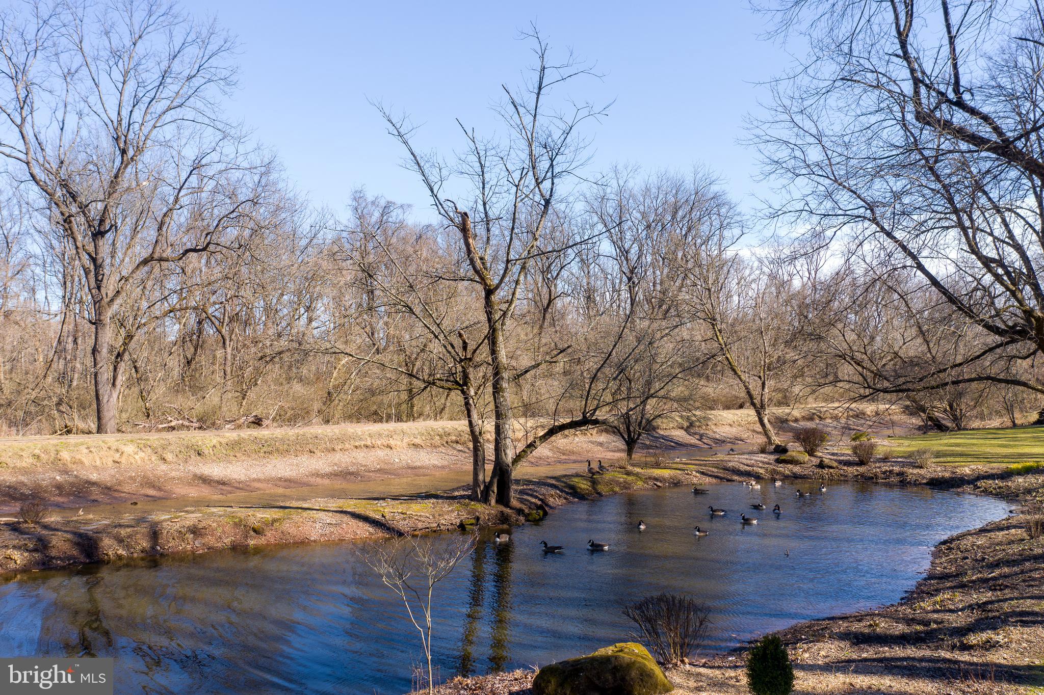 1584 River Road New Hope, PA 18938 - Photo 45 of 60 Pond