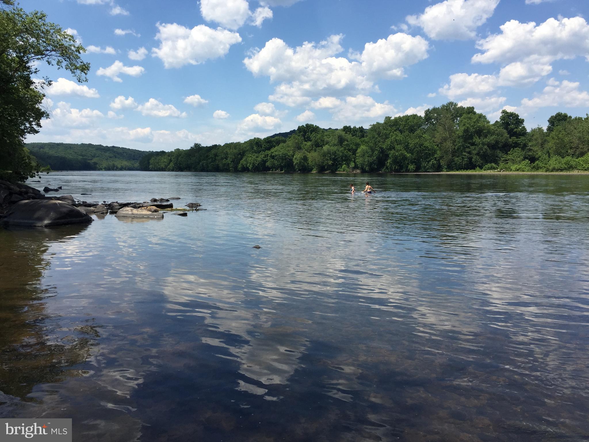 1584 River Road New Hope, PA 18938 - Photo 53 of 60 River in Summer
