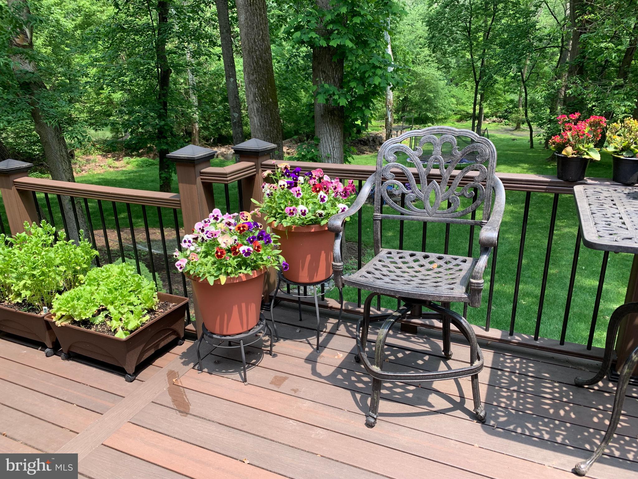 1584 River Road New Hope, PA 18938 - Photo 58 of 60 Rear Deck in Summer