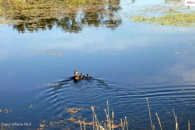 $899,900 | 195 Key Ranch Road, Sagle, ID 83860