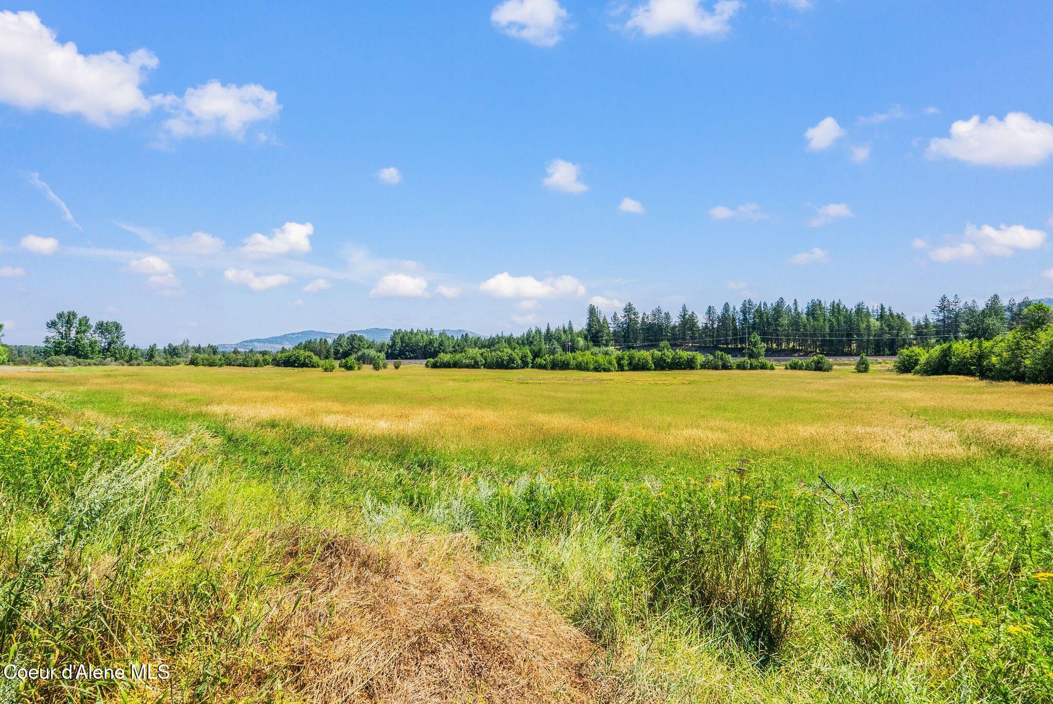 195 Key Ranch Road Sagle, ID 83860 - Photo 6 of 62 Beautiful pasture