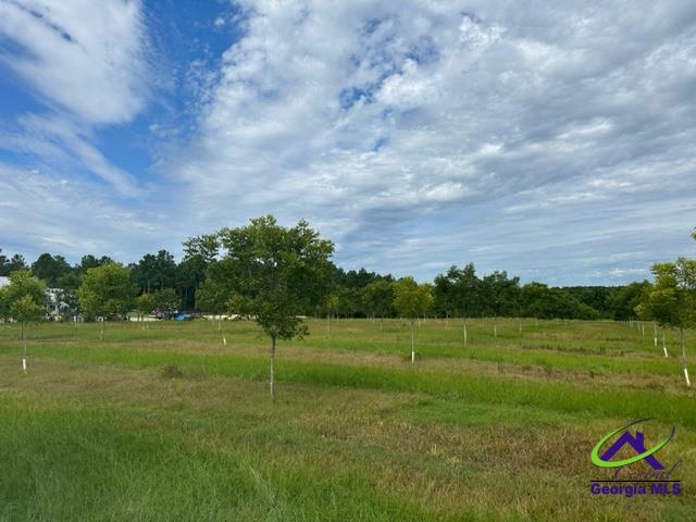 Henderson Springs Road Elko, GA 31025 - Photo 3 of 24