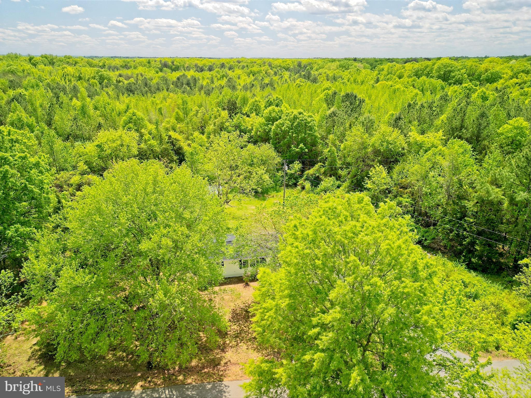 10424 Cooktown Road Spotsylvania, VA 22553 - Photo 11 of 53 Gallery Image 11