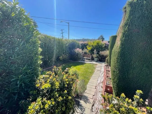 a view of a backyard