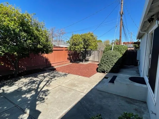 a view of a yard with plants and trees