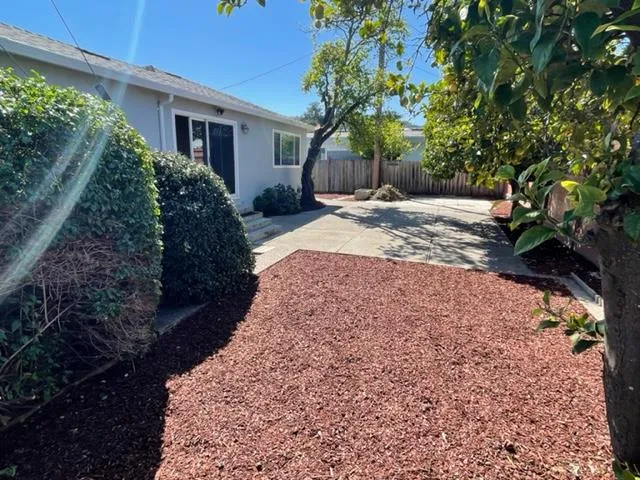 a view of a backyard