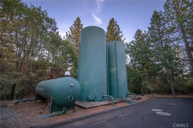 a view of empty trees with a tree