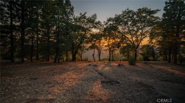 a view of outdoor space with trees