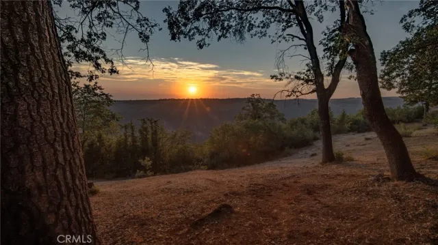 a backyard of a house with large trees