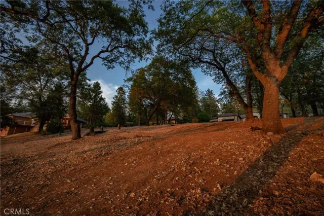 a view of a yard with an outdoor space
