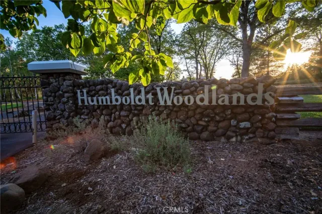 a view of a park that has large trees