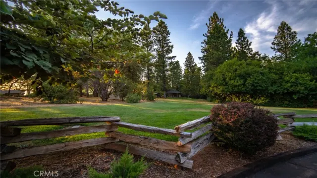 a view of a park with large trees
