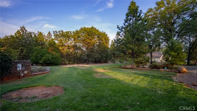 a view of road with trees