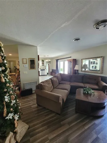 a living room with furniture plant and a window