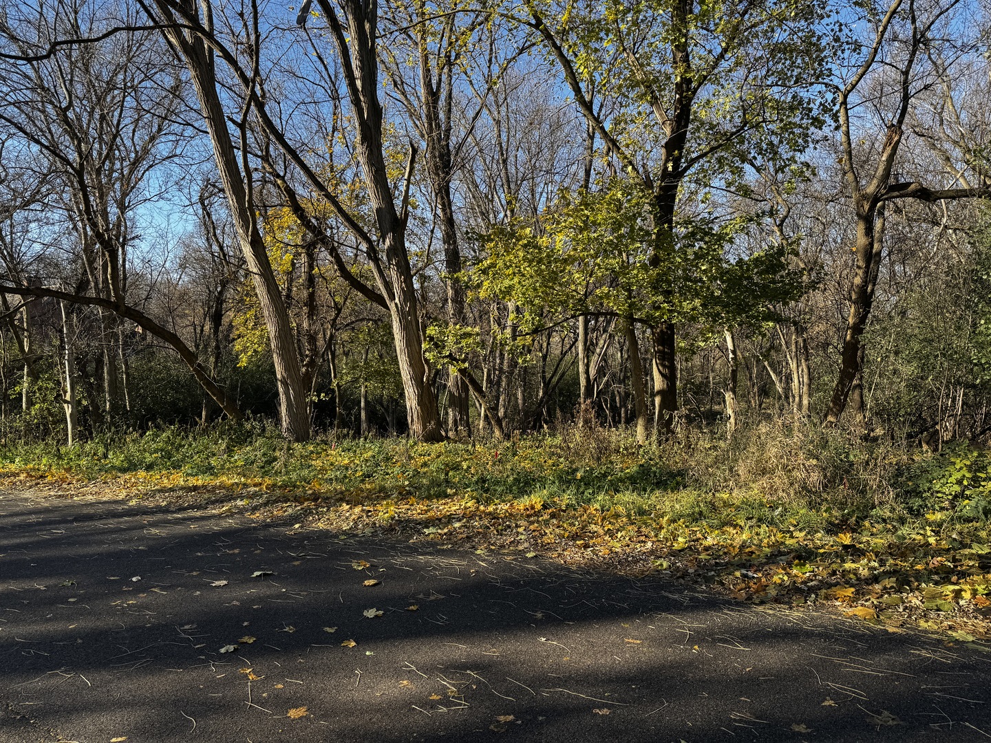 21260 North Prestwick Drive Barrington, IL 60010 - Photo 2 of 13