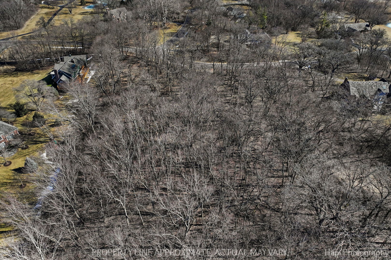 21260 North Prestwick Drive Barrington, IL 60010 - Photo 4 of 13