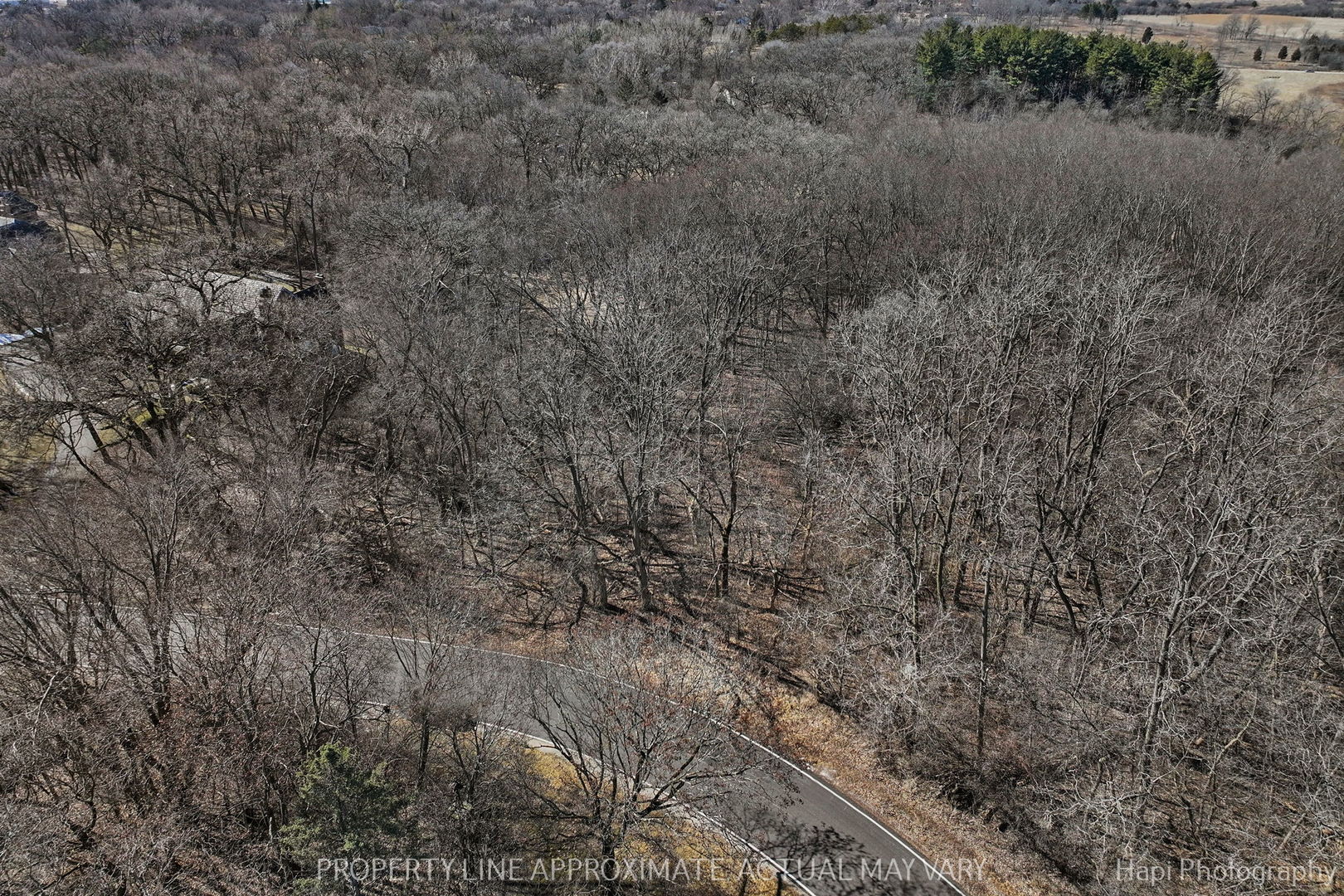 21260 North Prestwick Drive Barrington, IL 60010 - Photo 6 of 13