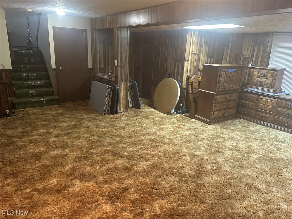 97 West Howe Road Tallmadge, OH 44278 - Photo 9 of 35 Basement with wooden walls and carpet