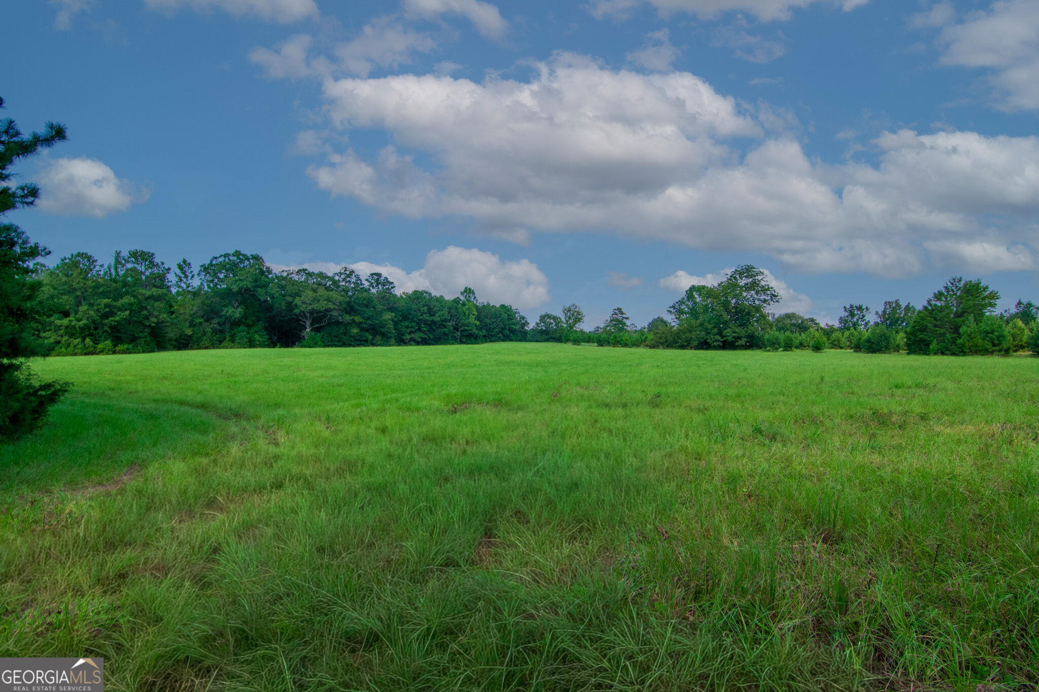 616 Twin Lakes Road Waverly Hall, GA 31831 - Photo 46 of 98 Gallery Image 46